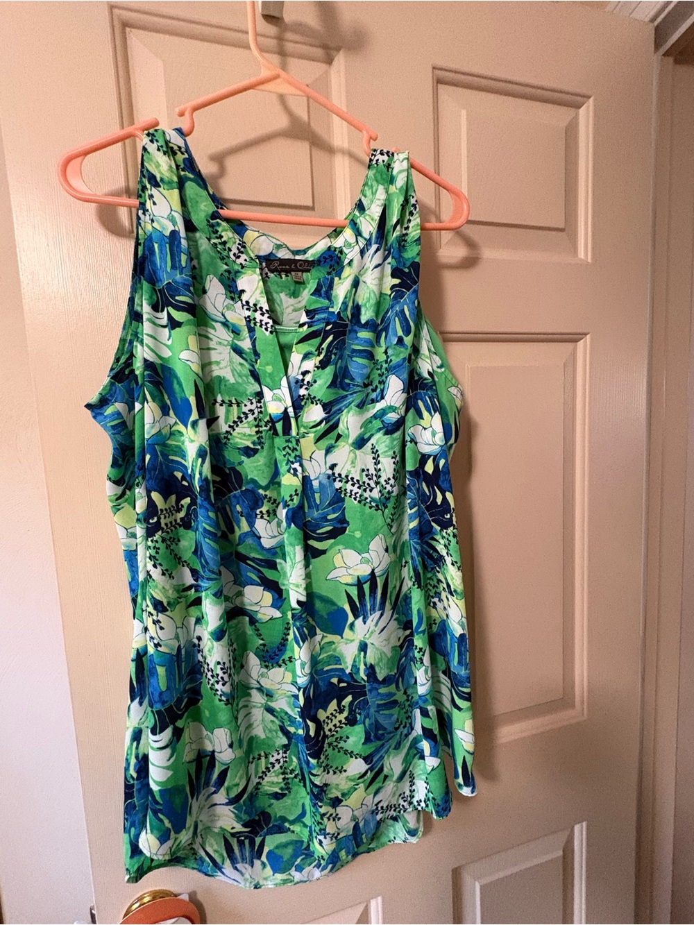 Rose & Olive Green and Blue Floral Tank Top and green camisole